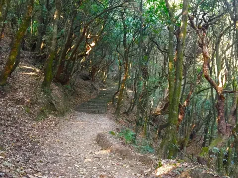 Shivapuri Day Hiking