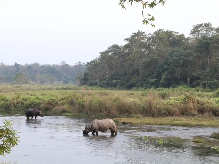 Chitwan Jungle Safari