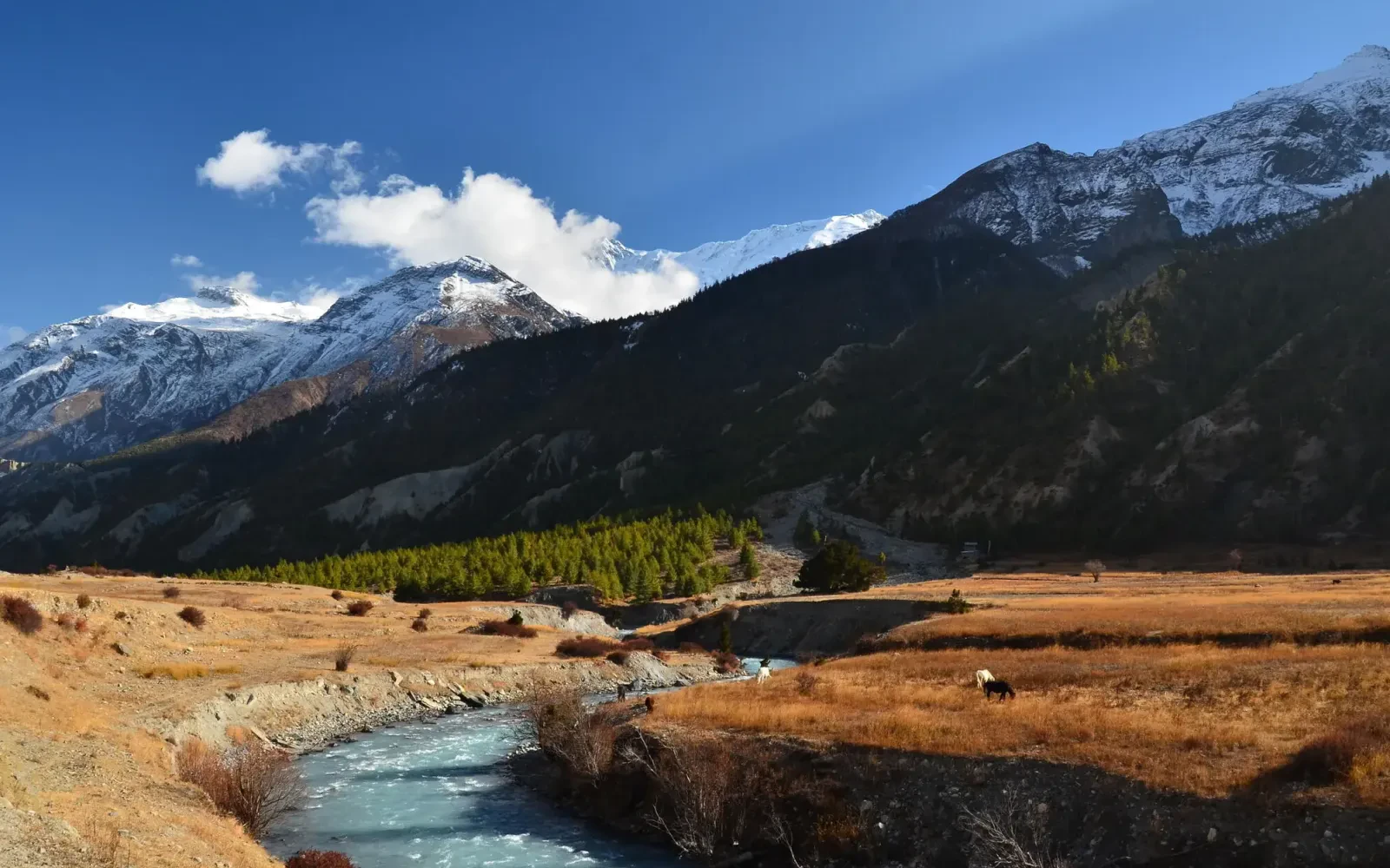 Climate in Nepal