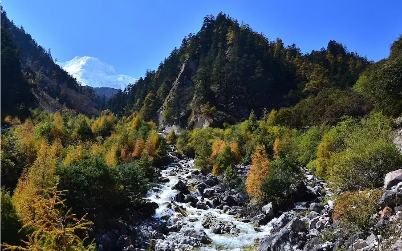 Biodiversity of Nepal