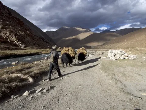 Upper Dolpo Trek