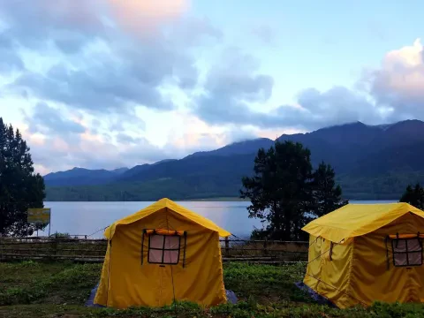 Tour