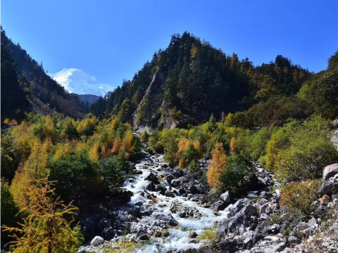 Biodiversity of Nepal