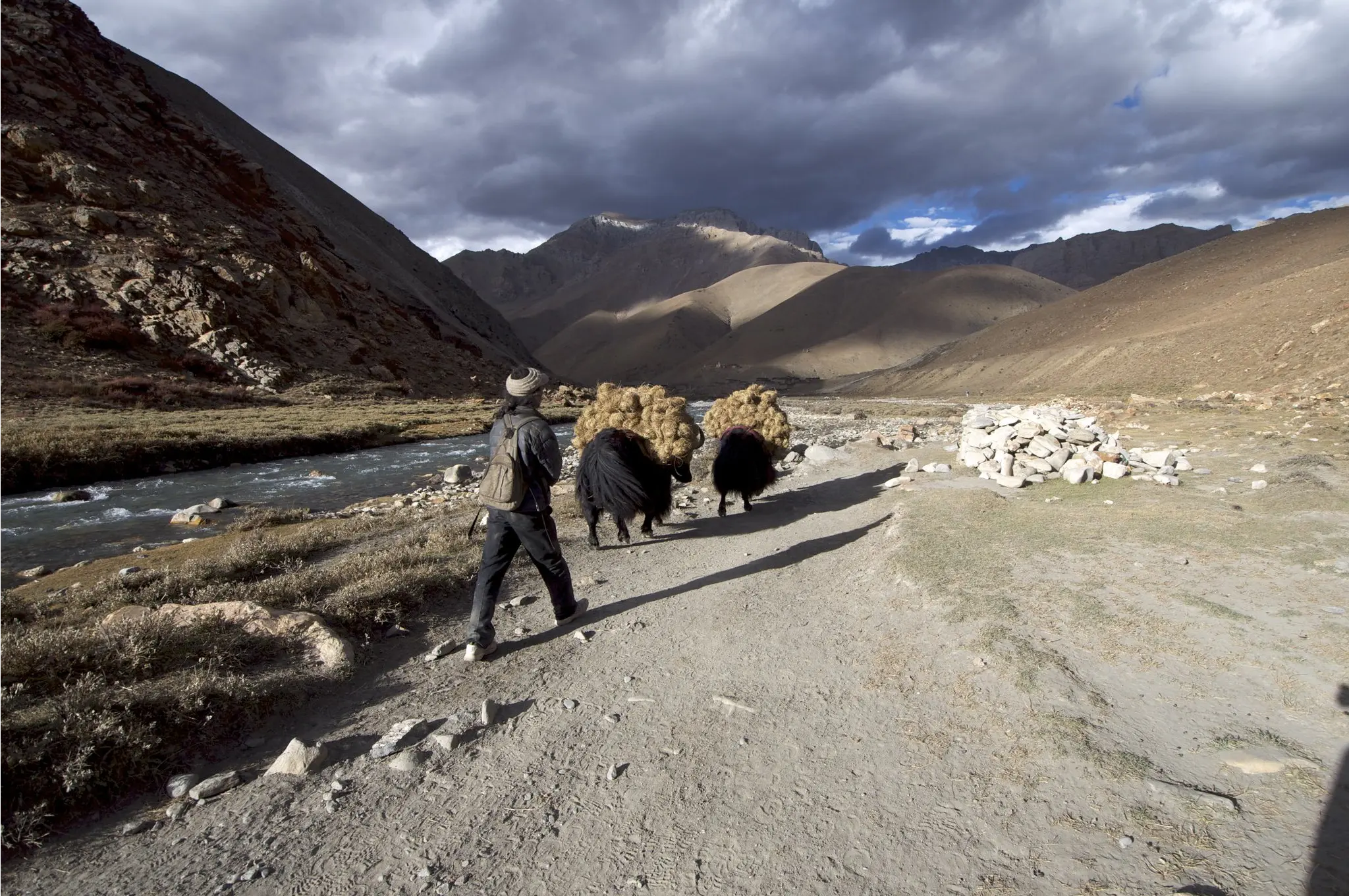Upper Dolpo Trek