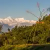 Ganesh Himal Trek