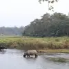 Chitwan Jungle Safari